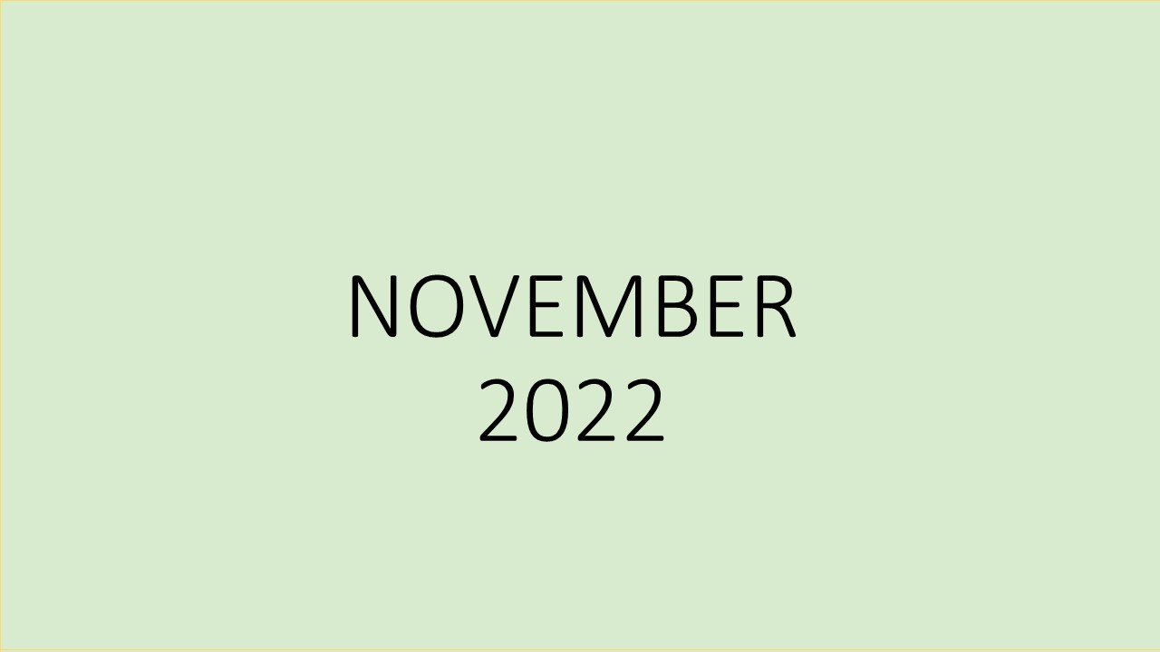 Knižné novinky 11/2022