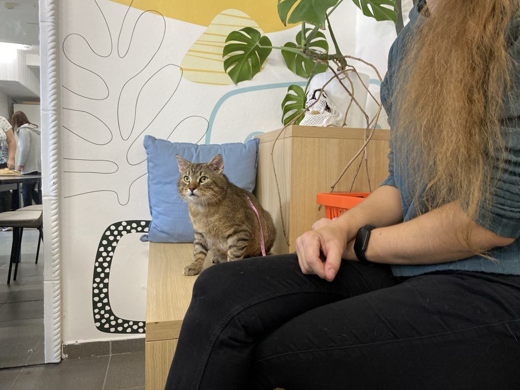 01e2a369-204d-4b79-9747-45f062aaa7c7.jfif