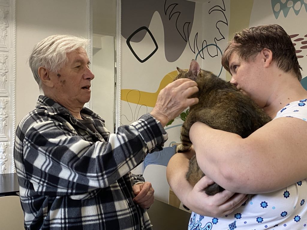 02bffdf7-9f44-4fd2-b8f7-2c9fbb712cea.jfif