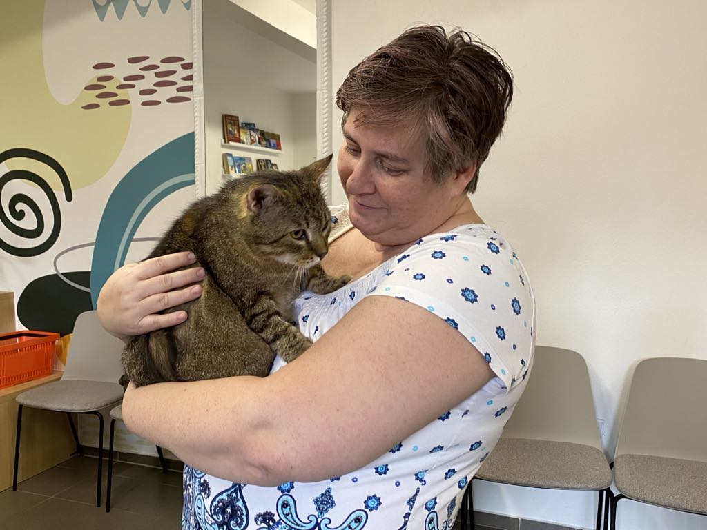 30be9b27-0606-4596-ae13-908a2d6346b7.jfif