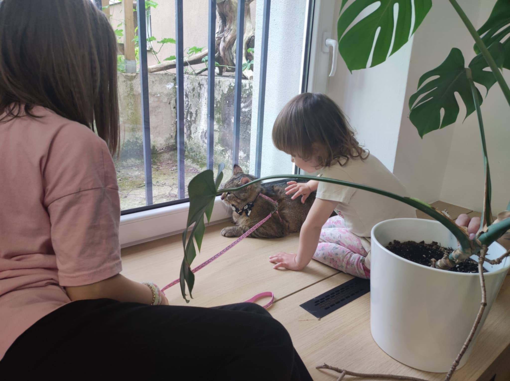 4a4a13e1-3b66-47d0-98d0-158c62905af8.jfif