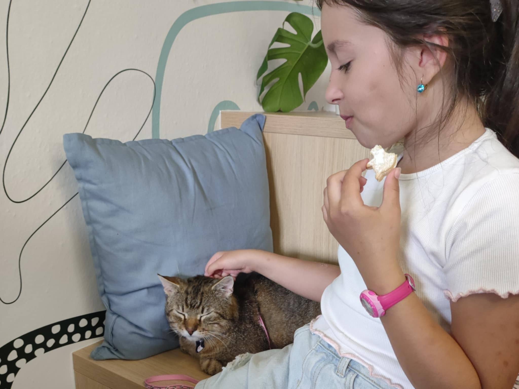 7b518e8e-54ba-4a77-adb6-a0df5c401786.jfif