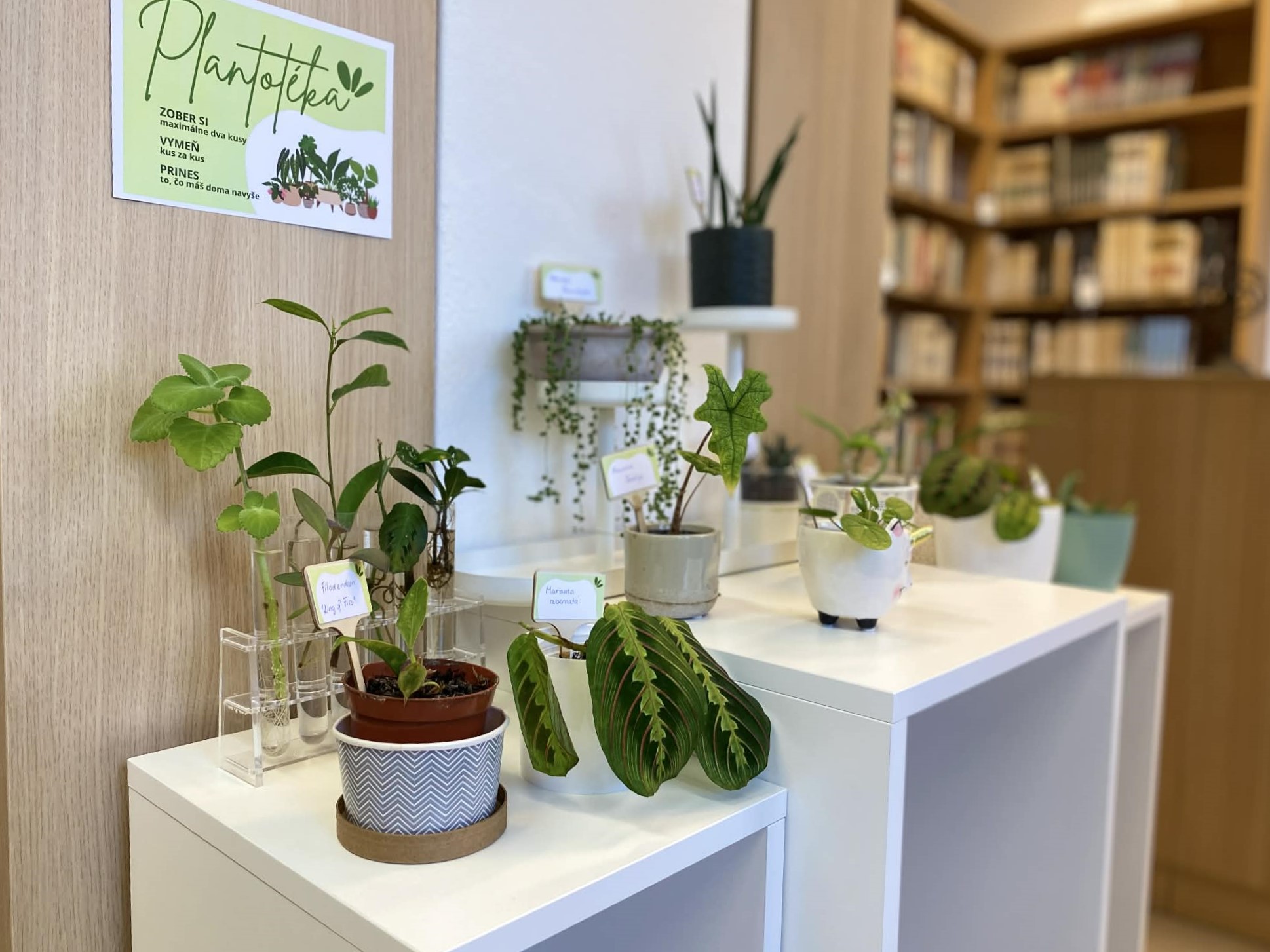 Novinka: Plantotéka