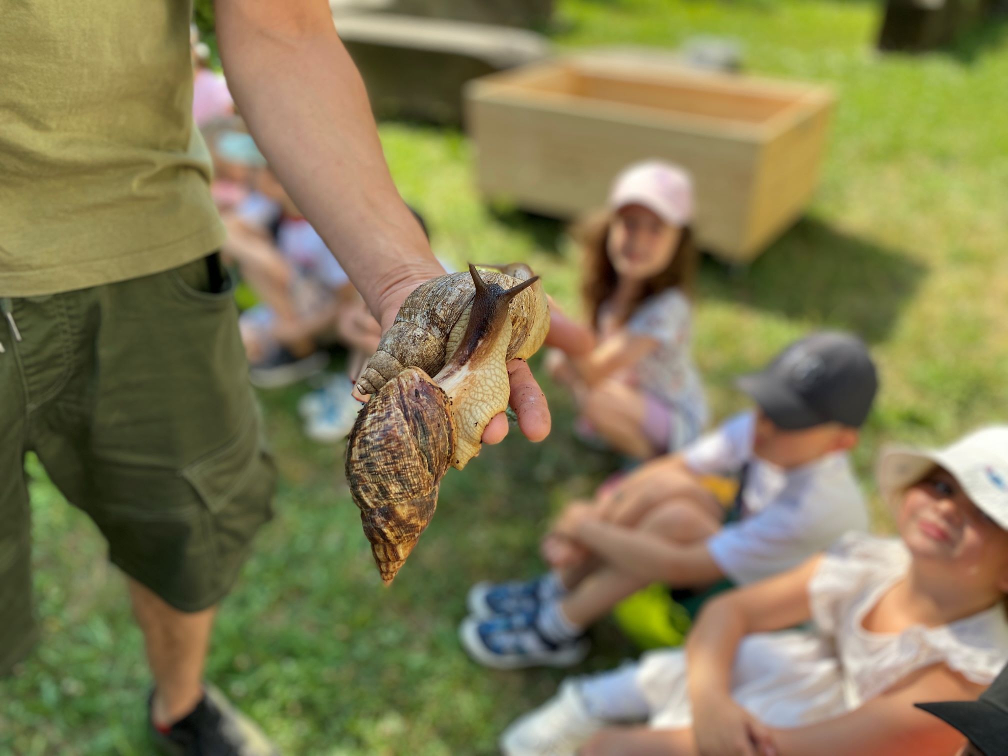 Aj exotické zvieratá sa stávajú nechcenými